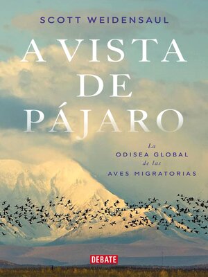 cover image of A vista de pájaro
